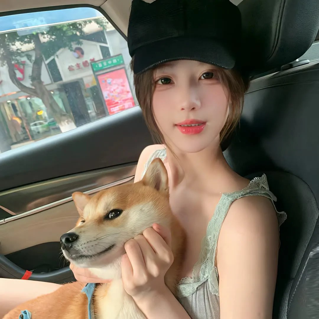 变羊记