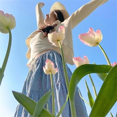 活动写真